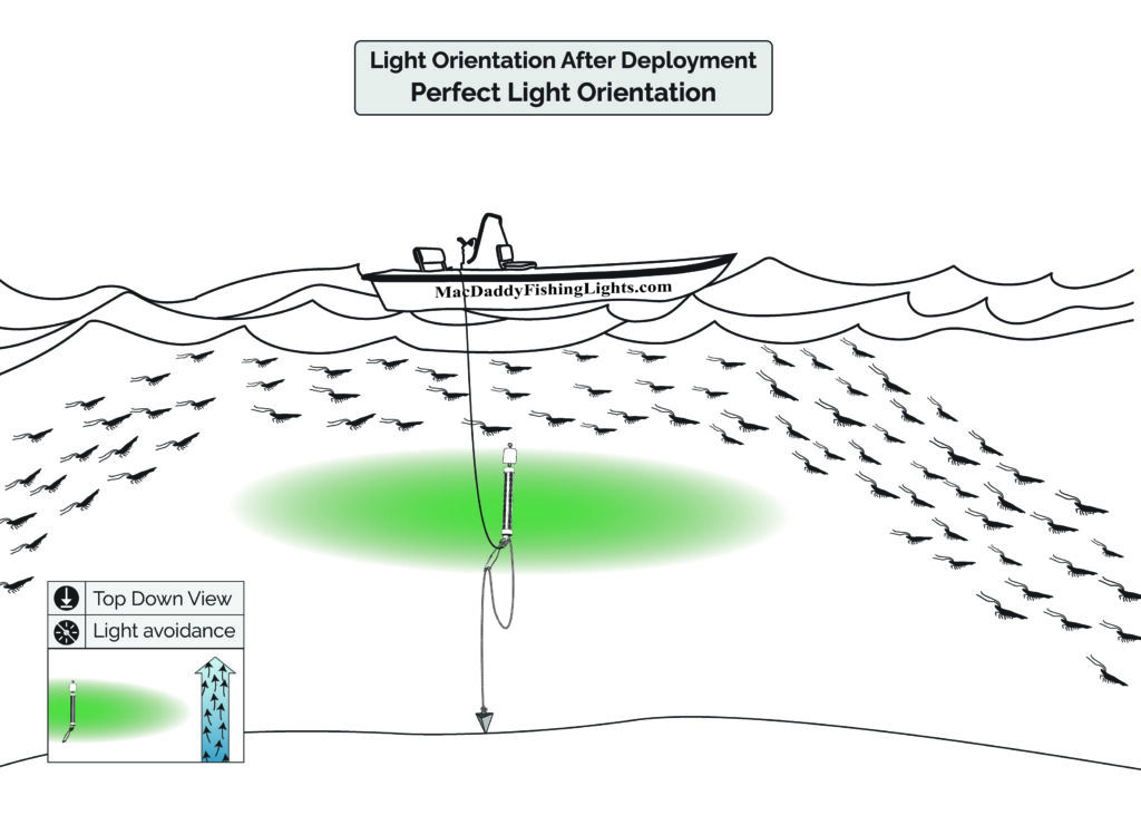 MacDaddy Fishing Lights Training Program Advances Night Fishing