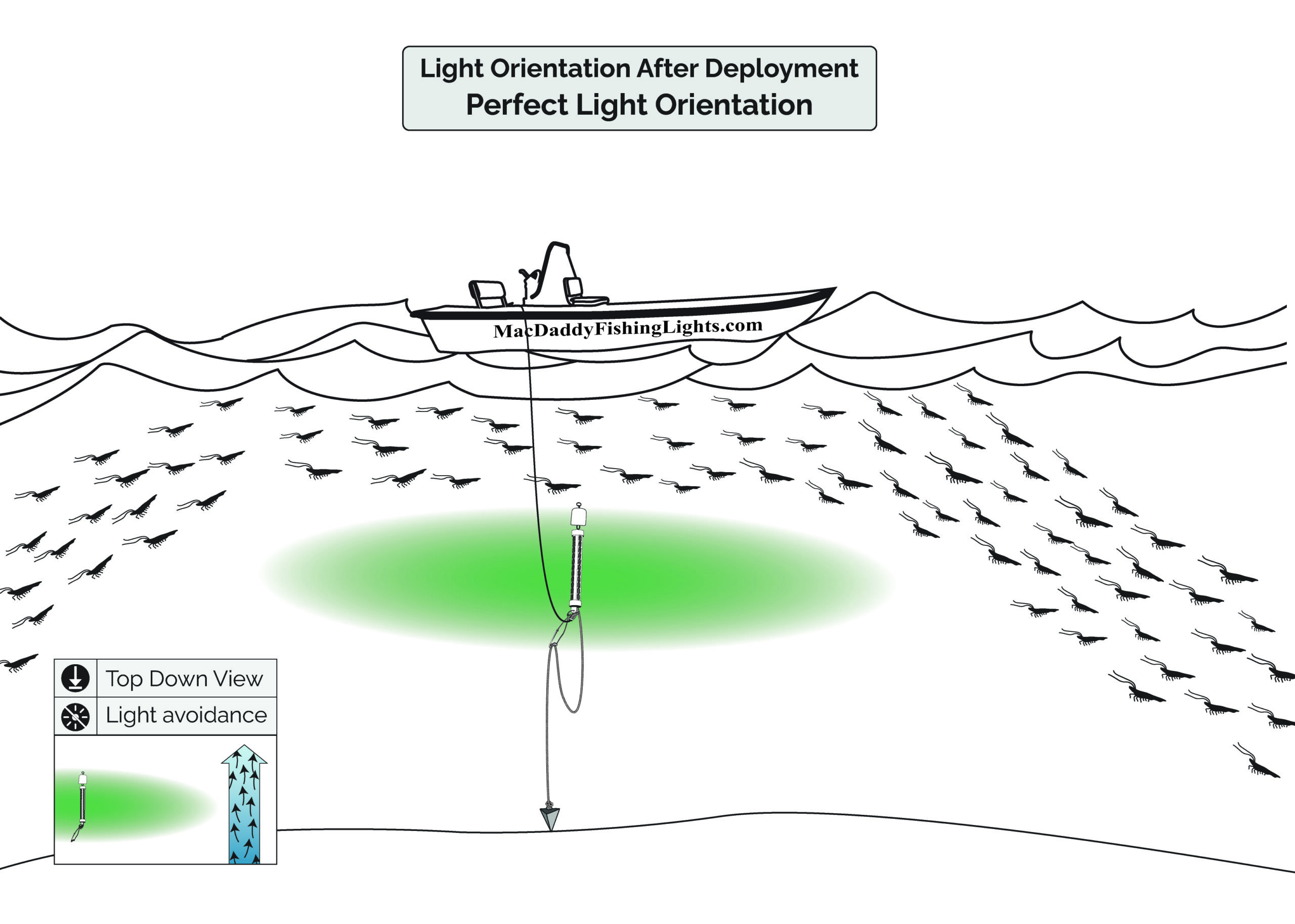 MacDaddy Fishing Lights Training Program Advances Night Fishing