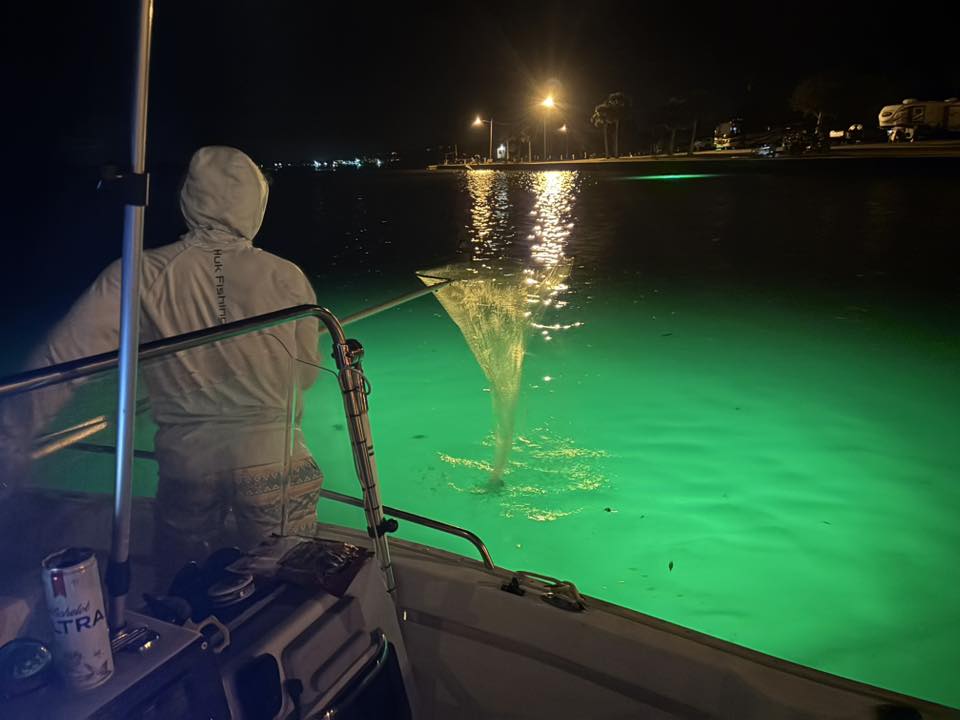 Shrimping with MacDaddy Fishing Lights