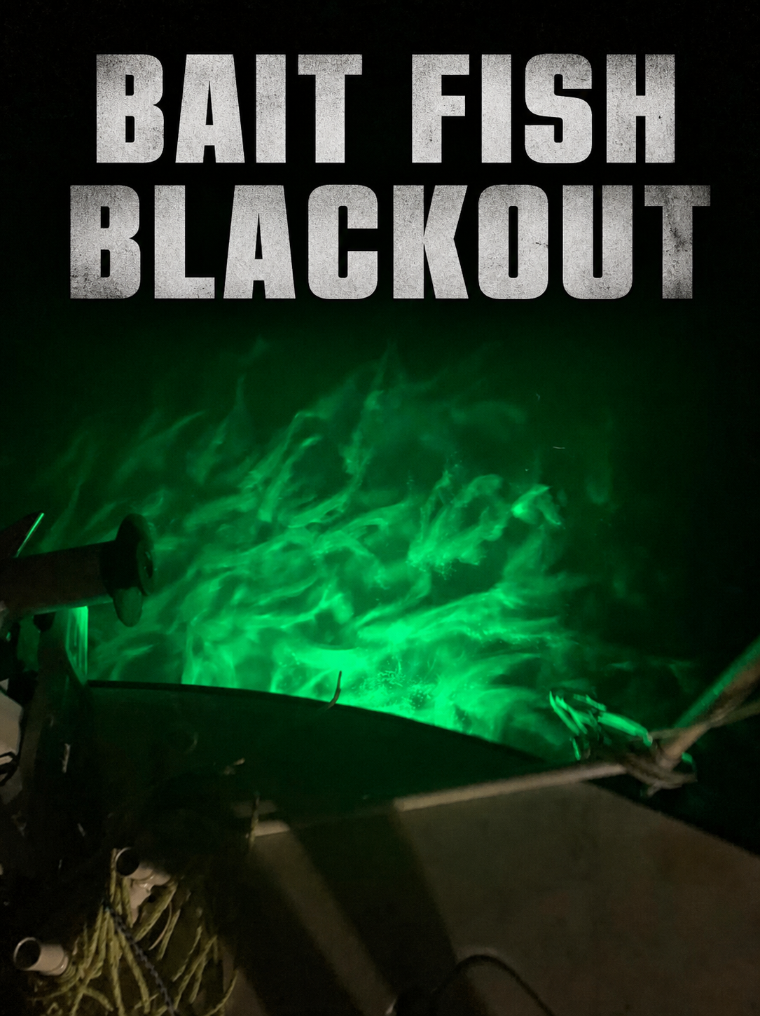 Bait Fish Blackout Need MacDaddy Smart Light To BOMB the bait off